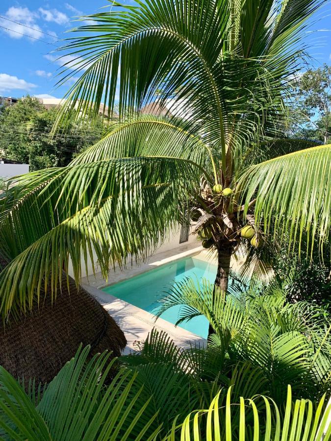 Apartment Tua Tulum Apartments Large Comfortable Pool Parking Space Tulum