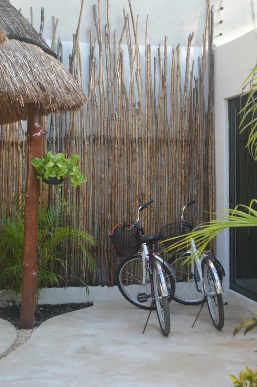 Apartment Tua Tulum Apartments Large Comfortable Pool Parking Space Tulum