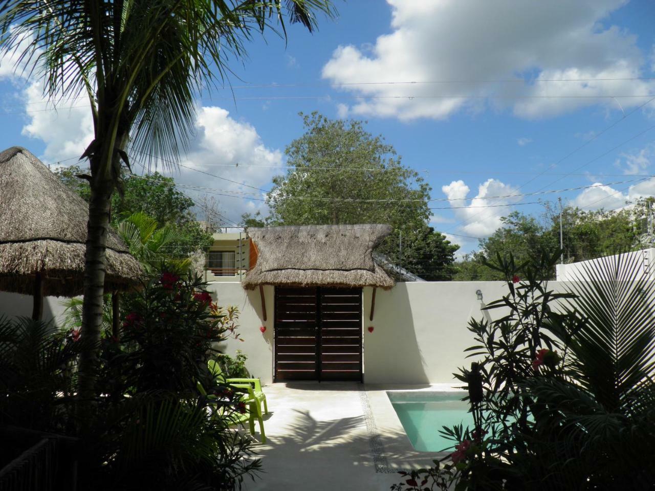 Apartment Tua Tulum Apartments Large Comfortable Pool Parking Space *