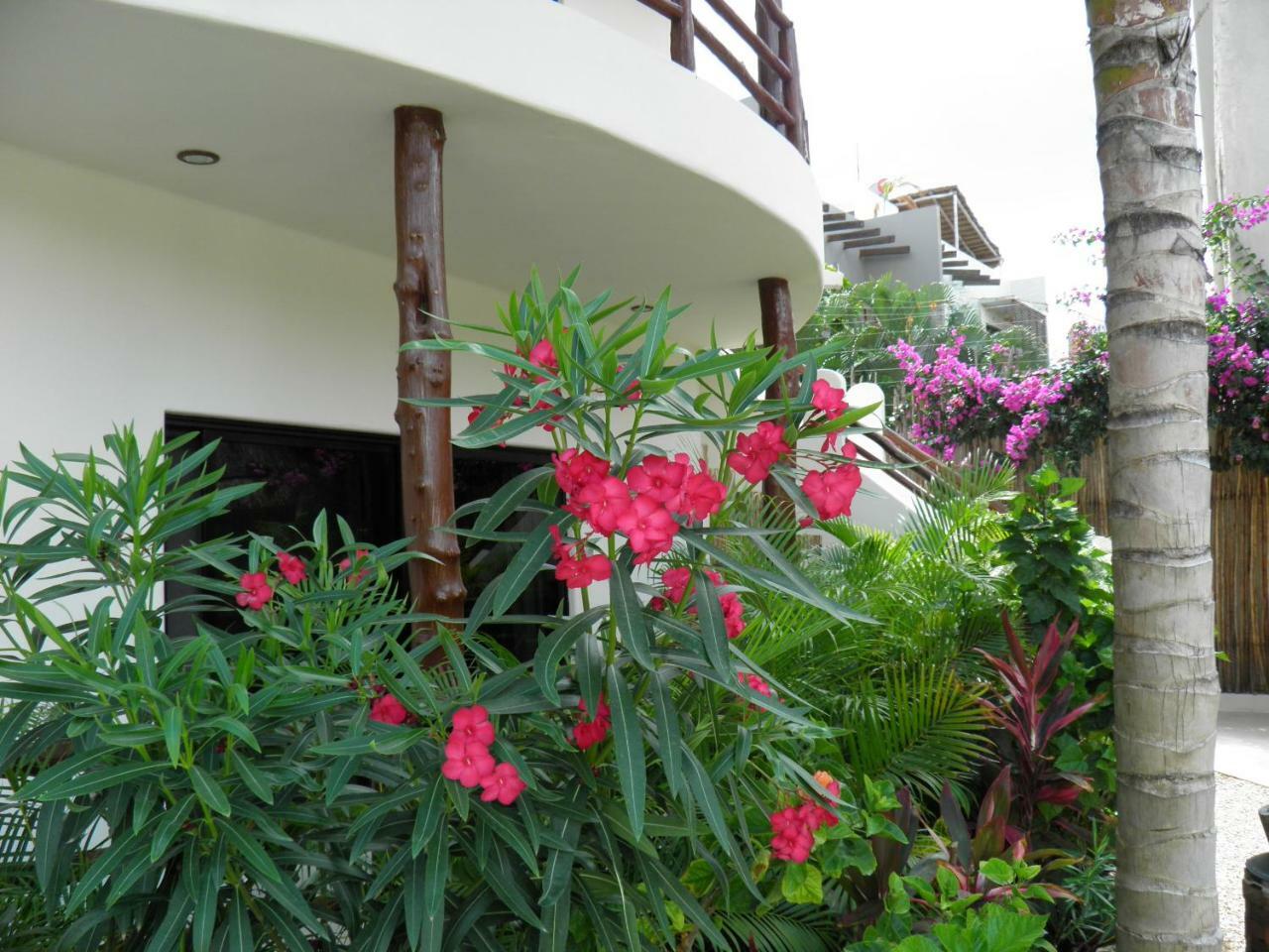 Tua Tulum Apartments Large Comfortable Pool Parking Space Apartment *