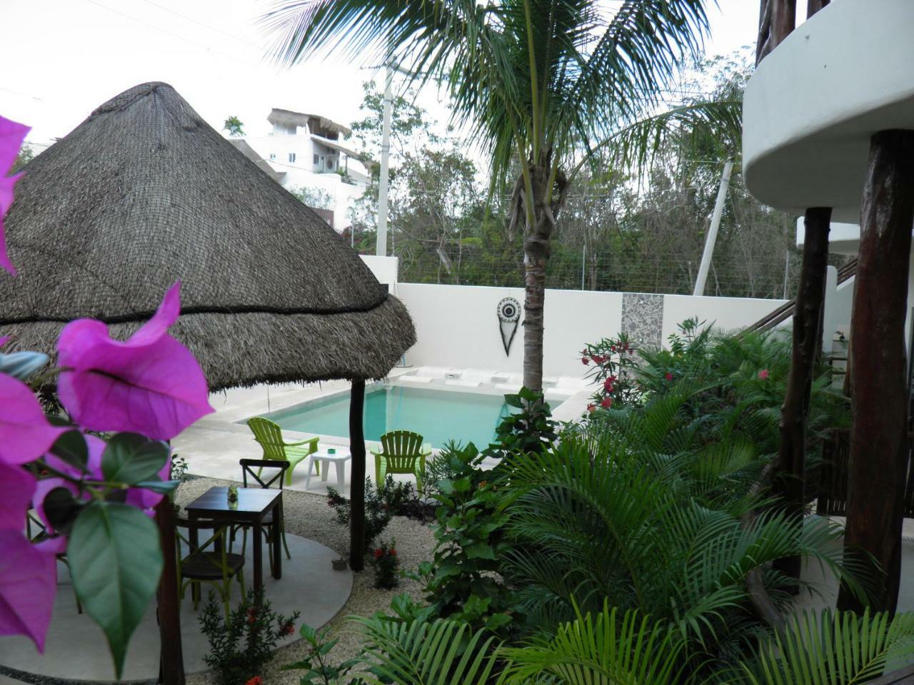 Apartment Tua Tulum Apartments Large Comfortable Pool Parking Space *