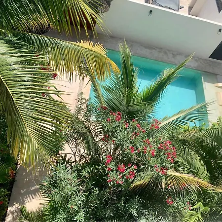 Tua Tulum Apartments Large Comfortable Pool Parking Space Exterior photo
