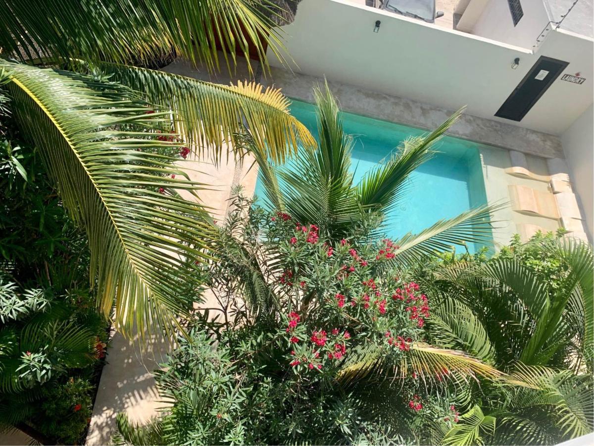 Tua Tulum Apartments Large Comfortable Pool Parking Space Apartment