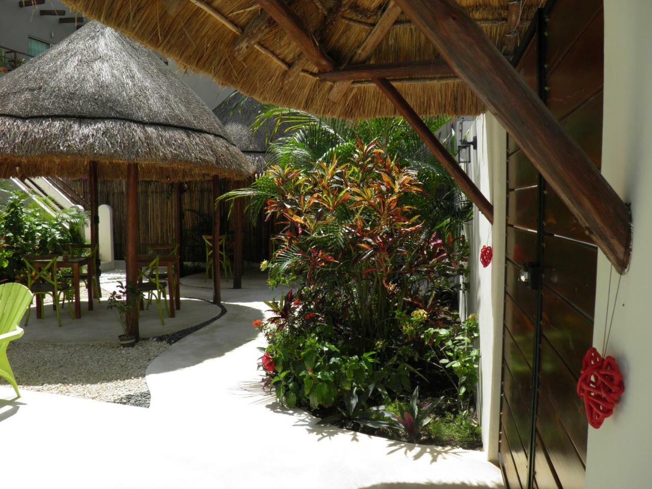 Tua Tulum Apartments Large Comfortable Pool Parking Space Apartment *
